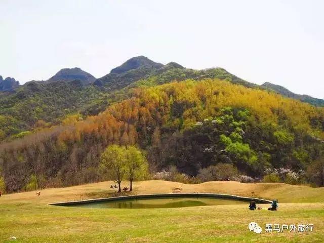 中国象棋启蒙