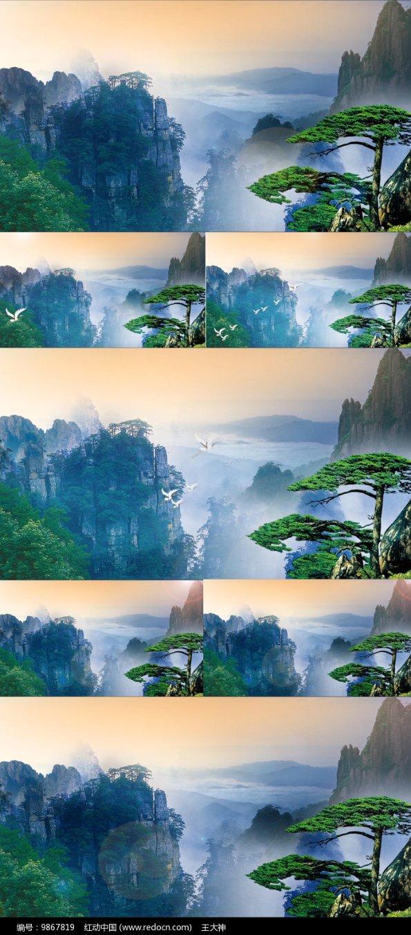 裙上繁花